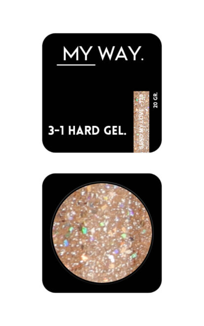 3-1 HARD GEL 138