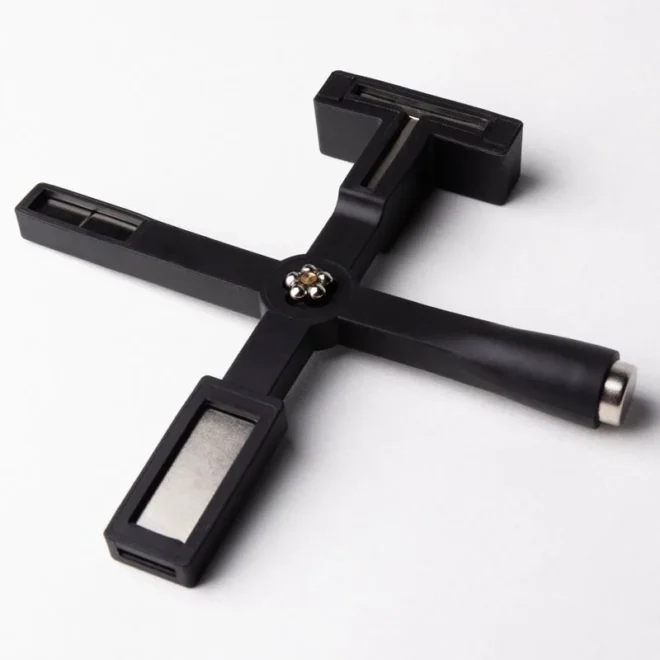 Anole Cat Eye Magneet 5 In 1