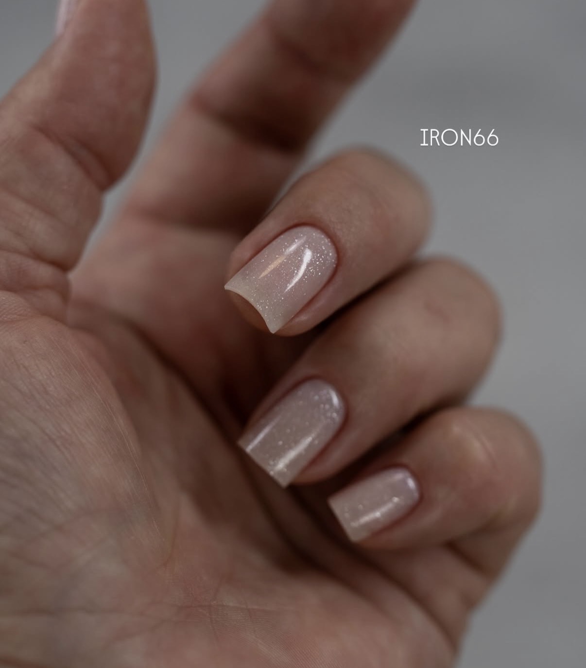 Iron Builder Gel 66 Nova Scotia | ANOLE - Afbeelding 2